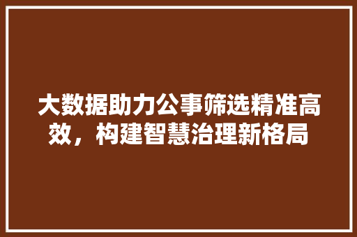大数据助力公事筛选精准高效，构建智慧治理新格局