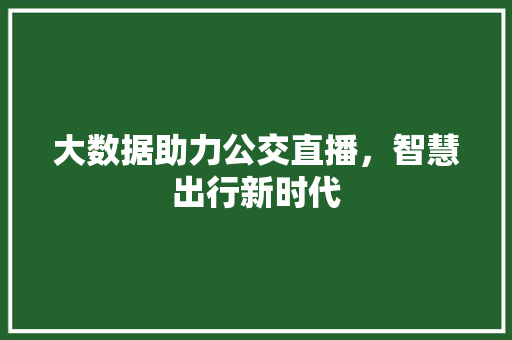 大数据助力公交直播，智慧出行新时代