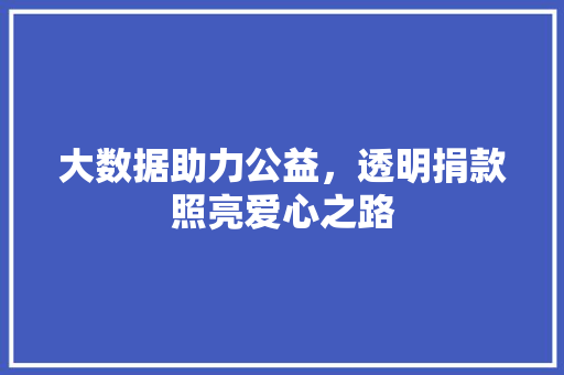 大数据助力公益，透明捐款照亮爱心之路