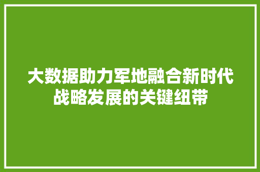 大数据助力军地融合新时代战略发展的关键纽带