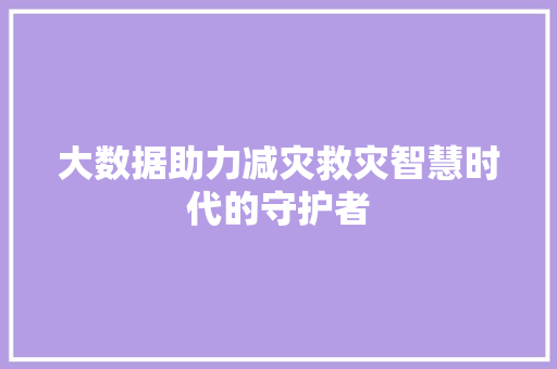 大数据助力减灾救灾智慧时代的守护者
