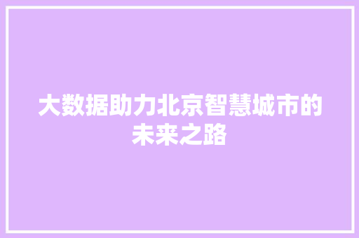 大数据助力北京智慧城市的未来之路