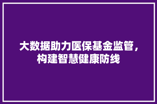 大数据助力医保基金监管，构建智慧健康防线
