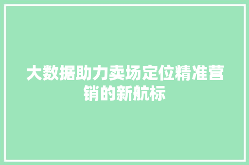 大数据助力卖场定位精准营销的新航标