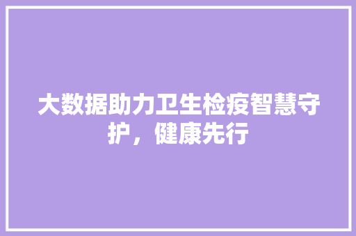 大数据助力卫生检疫智慧守护，健康先行