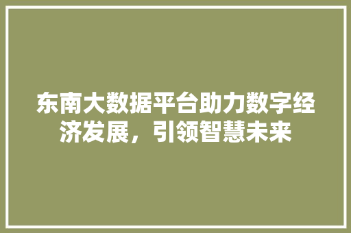 东南大数据平台助力数字经济发展，引领智慧未来