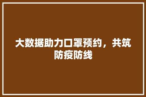 大数据助力口罩预约，共筑防疫防线