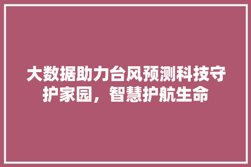 大数据助力台风预测科技守护家园，智慧护航生命