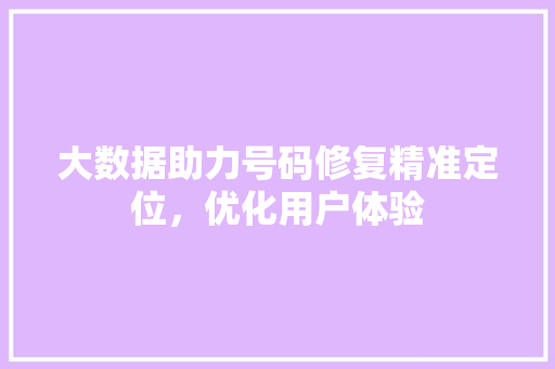 大数据助力号码修复精准定位，优化用户体验