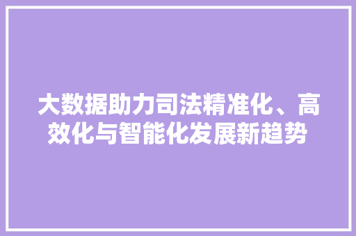大数据助力司法精准化、高效化与智能化发展新趋势  第1张