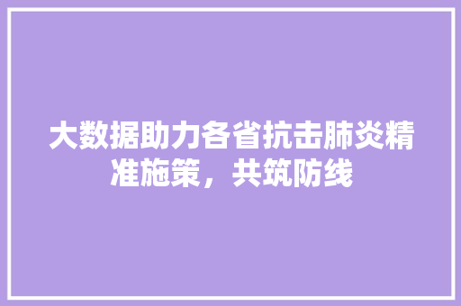大数据助力各省抗击肺炎精准施策，共筑防线