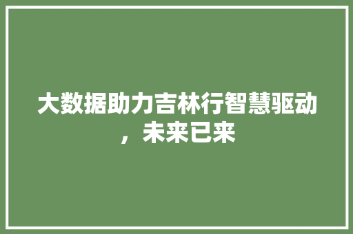 大数据助力吉林行智慧驱动，未来已来