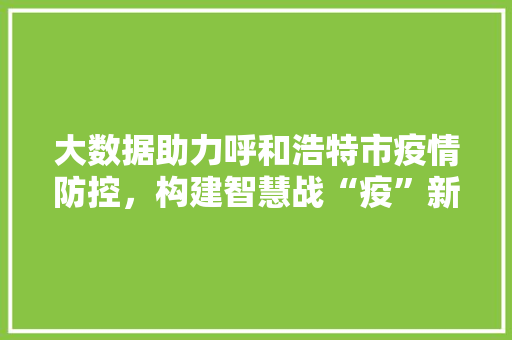 大数据助力呼和浩特市疫情防控，构建智慧战“疫”新格局
