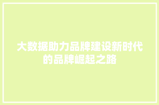 大数据助力品牌建设新时代的品牌崛起之路