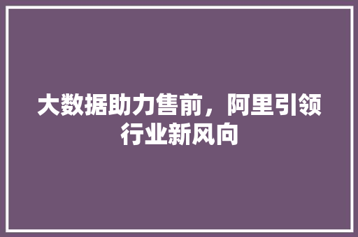 大数据助力售前，阿里引领行业新风向