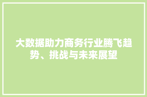 大数据助力商务行业腾飞趋势、挑战与未来展望