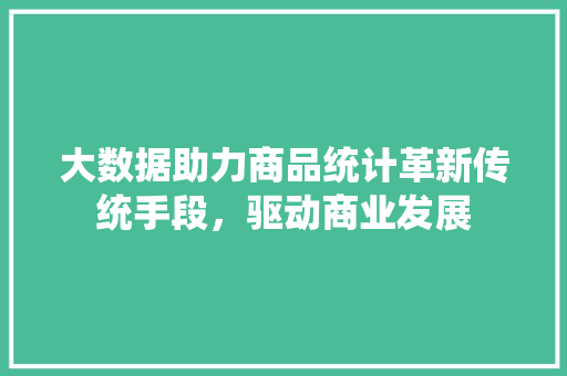 大数据助力商品统计革新传统手段，驱动商业发展