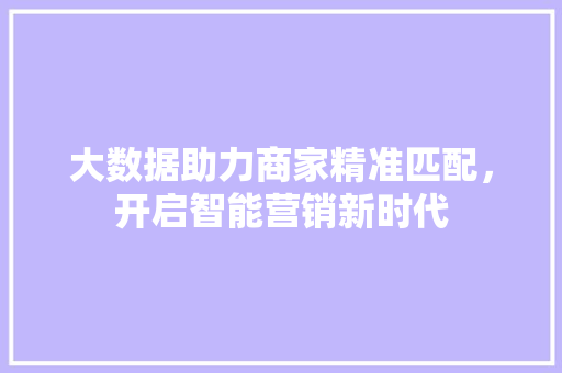 大数据助力商家精准匹配，开启智能营销新时代  第1张