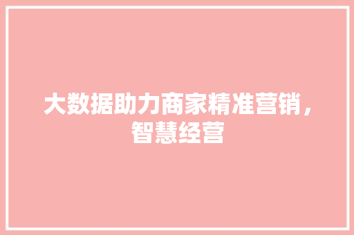 大数据助力商家精准营销，智慧经营  第1张