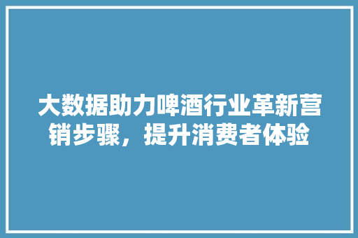大数据助力啤酒行业革新营销步骤，提升消费者体验  第1张