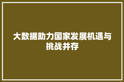 大数据助力国家发展机遇与挑战并存