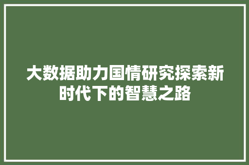 大数据助力国情研究探索新时代下的智慧之路