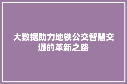 大数据助力地铁公交智慧交通的革新之路
