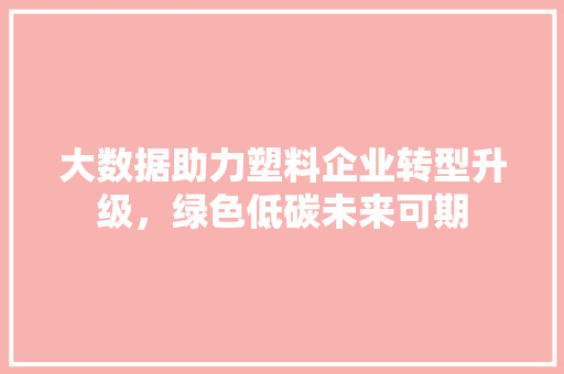大数据助力塑料企业转型升级，绿色低碳未来可期