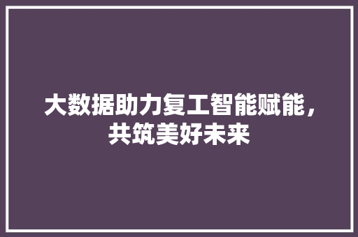 大数据助力复工智能赋能，共筑美好未来