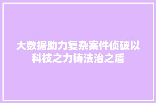 大数据助力复杂案件侦破以科技之力铸法治之盾