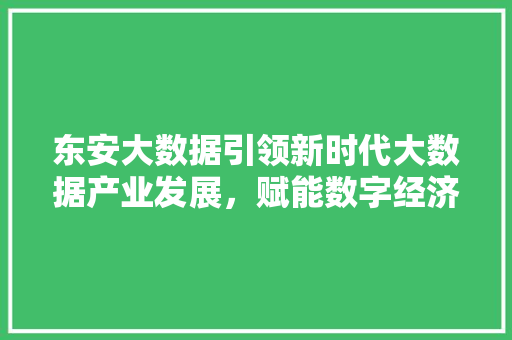 东安大数据引领新时代大数据产业发展，赋能数字经济新未来