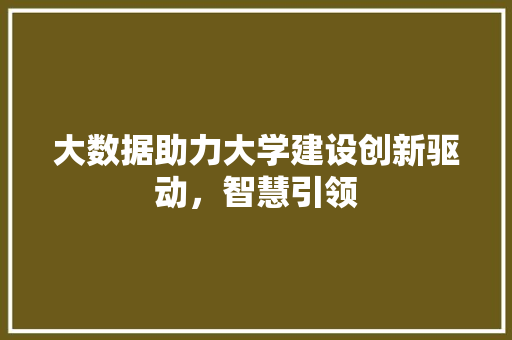 大数据助力大学建设创新驱动，智慧引领