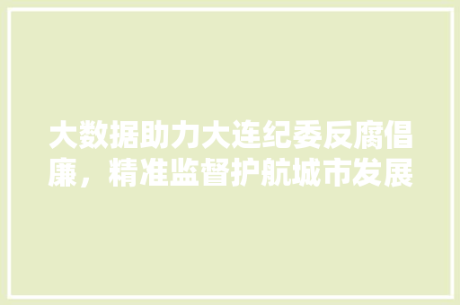 大数据助力大连纪委反腐倡廉，精准监督护航城市发展