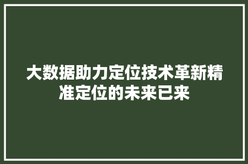 大数据助力定位技术革新精准定位的未来已来  第1张