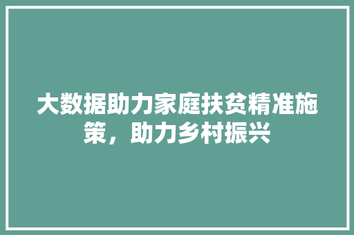 大数据助力家庭扶贫精准施策，助力乡村振兴