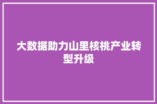 大数据助力山里核桃产业转型升级