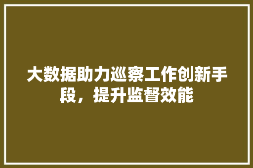 大数据助力巡察工作创新手段，提升监督效能