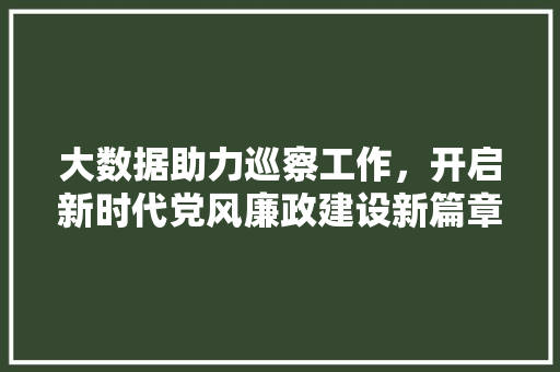 大数据助力巡察工作，开启新时代党风廉政建设新篇章