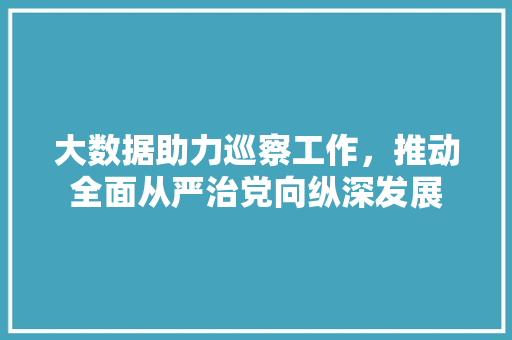 大数据助力巡察工作，推动全面从严治党向纵深发展