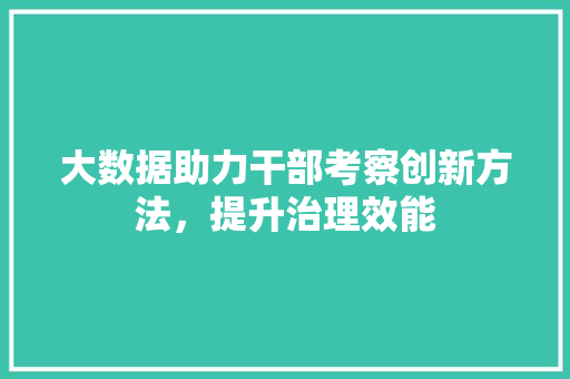 大数据助力干部考察创新方法，提升治理效能