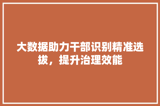 大数据助力干部识别精准选拔，提升治理效能