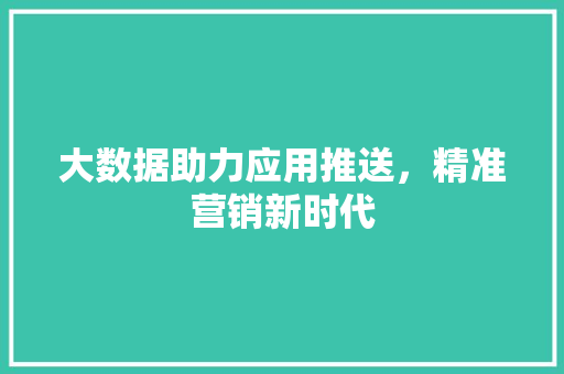 大数据助力应用推送，精准营销新时代