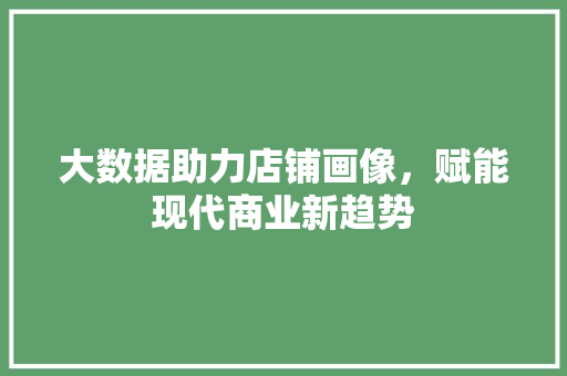 大数据助力店铺画像，赋能现代商业新趋势