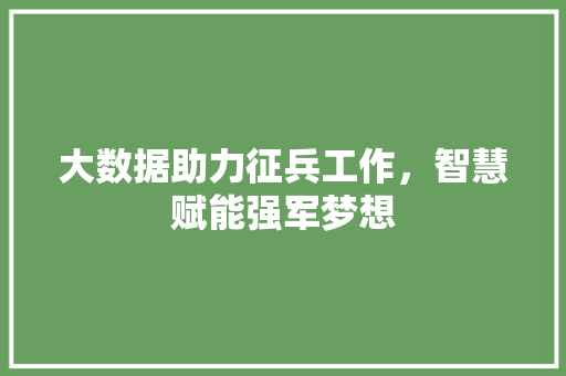 大数据助力征兵工作，智慧赋能强军梦想