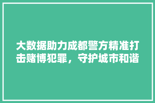 大数据助力成都警方精准打击赌博犯罪，守护城市和谐安宁  第1张