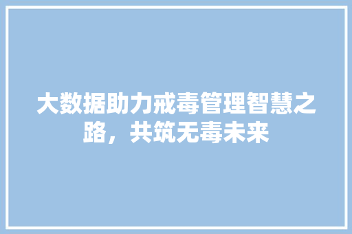 大数据助力戒毒管理智慧之路，共筑无毒未来