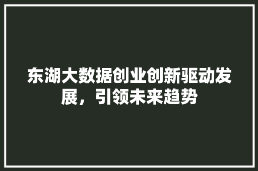 东湖大数据创业创新驱动发展，引领未来趋势