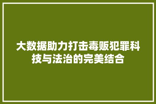大数据助力打击毒贩犯罪科技与法治的完美结合