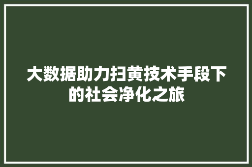 大数据助力扫黄技术手段下的社会净化之旅