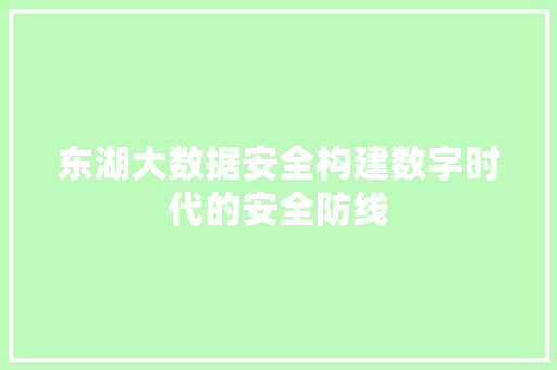 东湖大数据安全构建数字时代的安全防线
